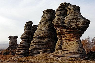 《野狗子》IGN 5分 很快就会失去创意的冒险